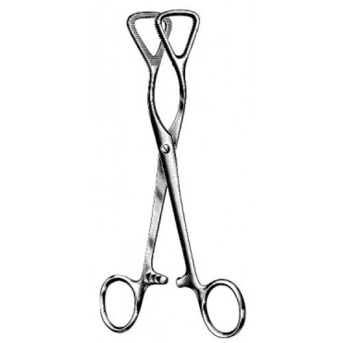 Oral Instruments